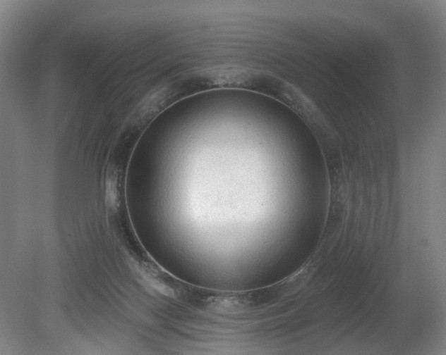 X0000081280074200701181754