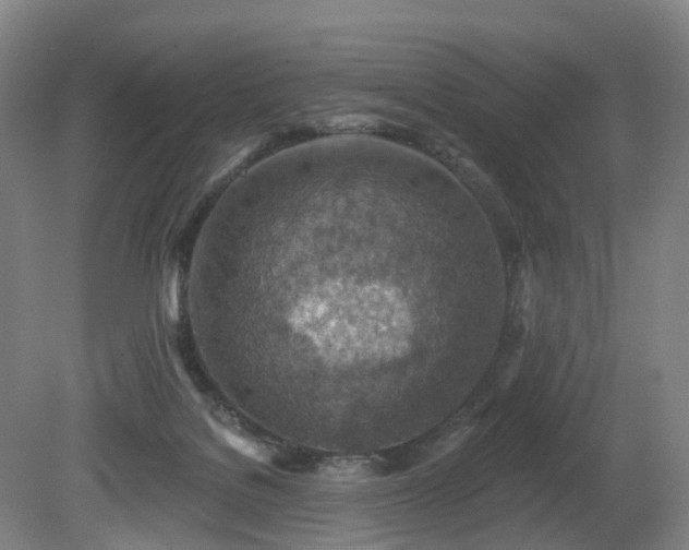 X0000081280076200701181754