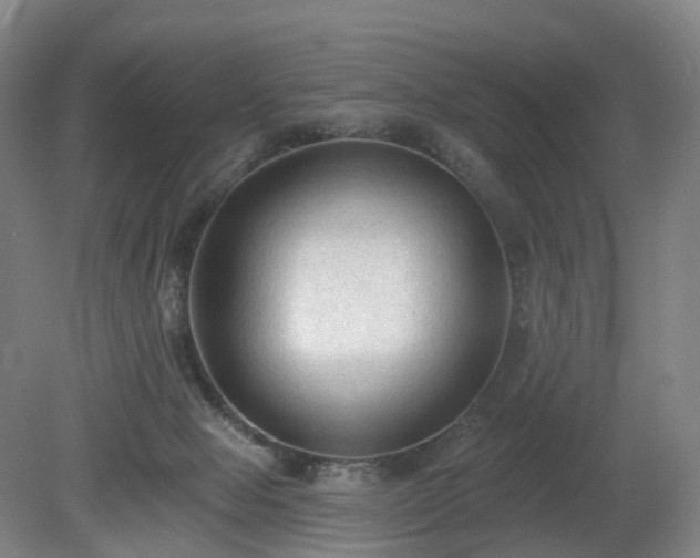 X0000081280077200701181754