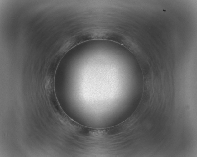 X0000081280079200701181754