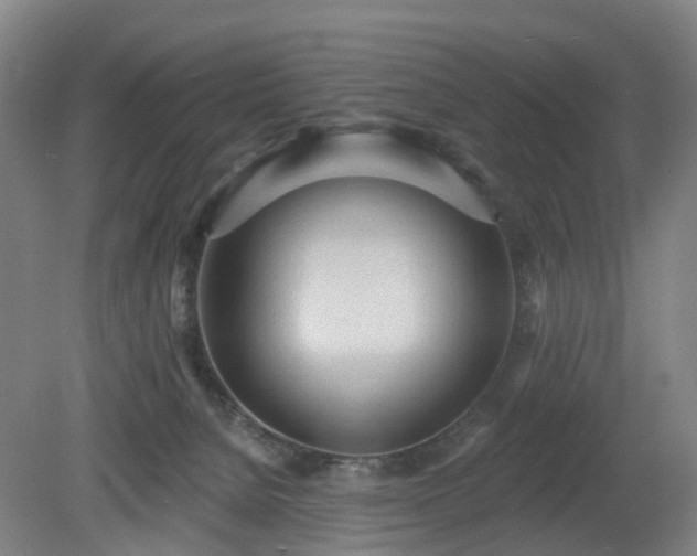 X0000081280080200701181754