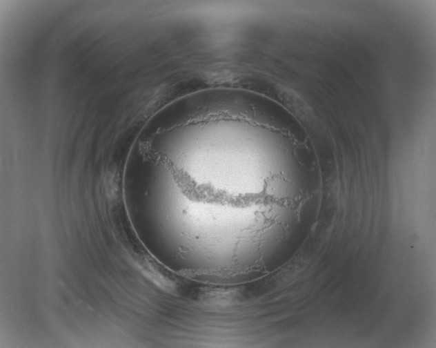 X0000081280081200701181754