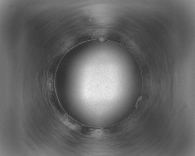 X0000081280083200701181754