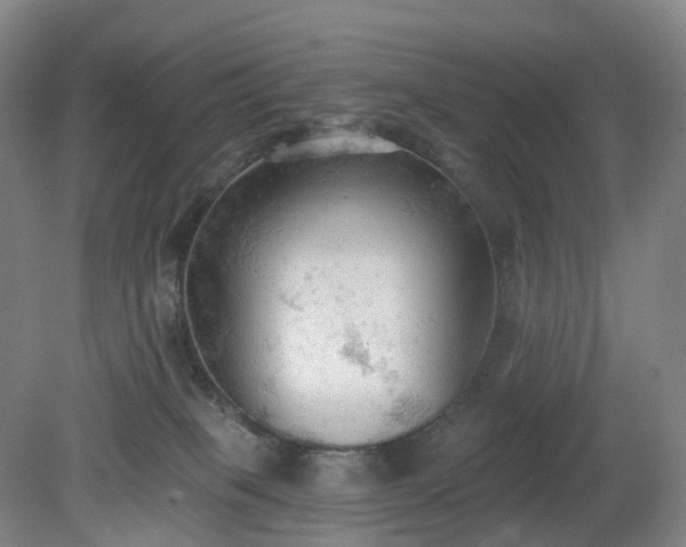 X0000081280085200701181754