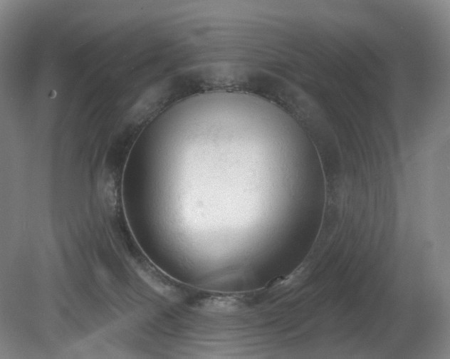 X0000081280086200701181754