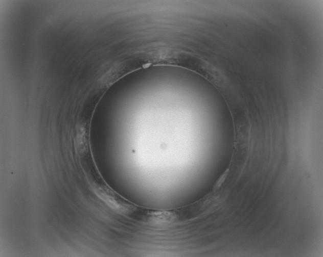 X0000081280087200701181754