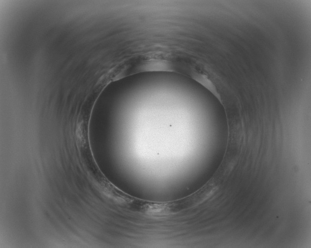 X0000081280088200701181754