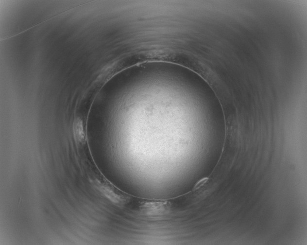 X0000081280089200701181754