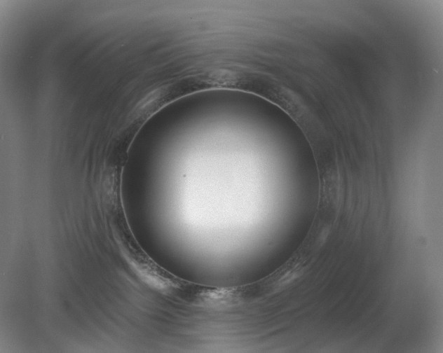 X0000081280092200701181754