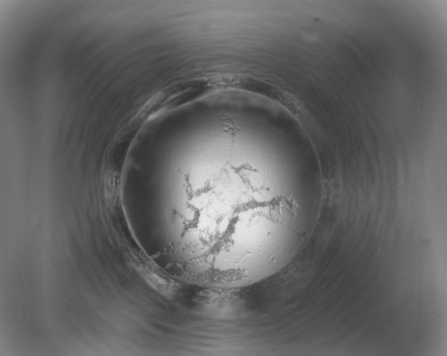 X0000081280093200701181754