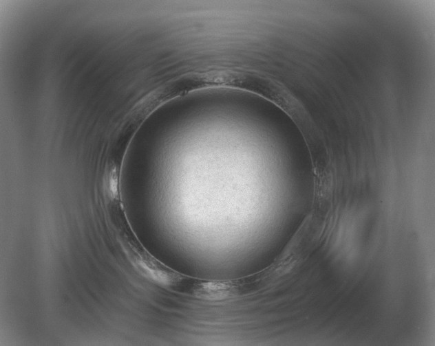 X0000081280095200701181754