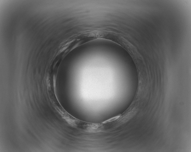 X0000081280096200701181754