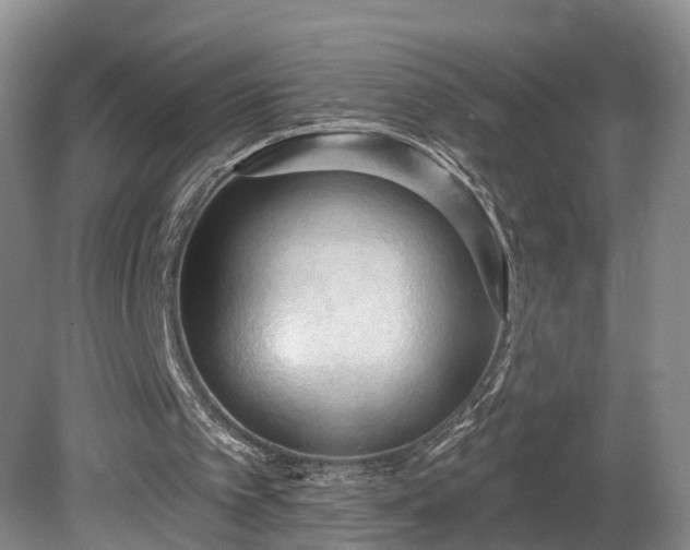 X0000081280097200701181753