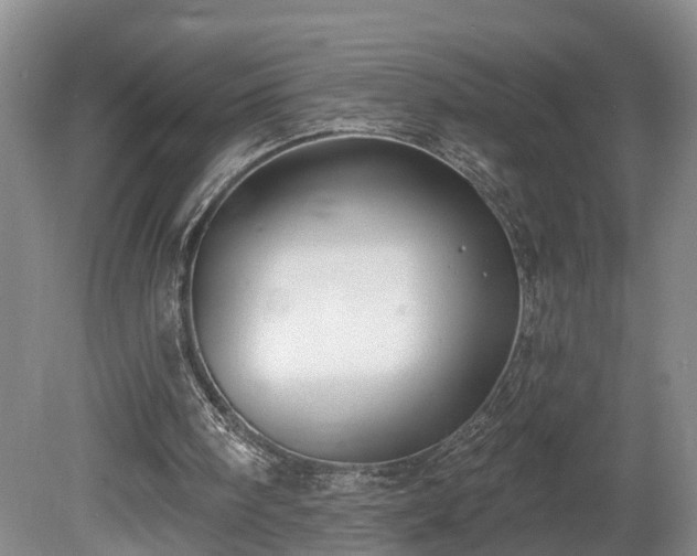 X0000081280098200701181753