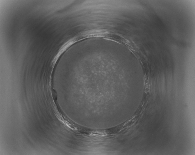 X0000081280099200701181753