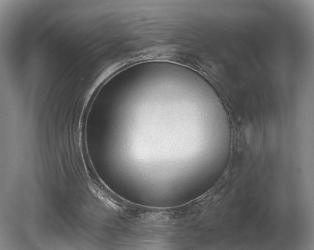 X0000081280100200701181753