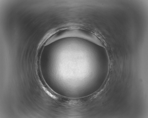 X0000081280101200701181753