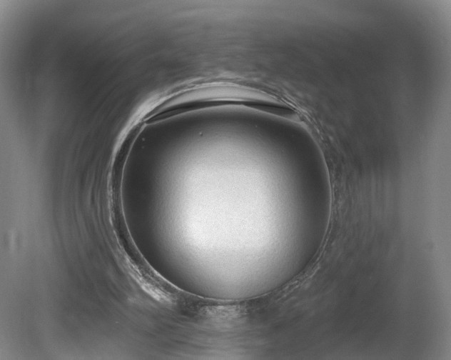 X0000081280102200701181753