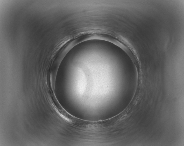 X0000081280105200701181753