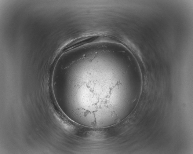 X0000081280107200701181753