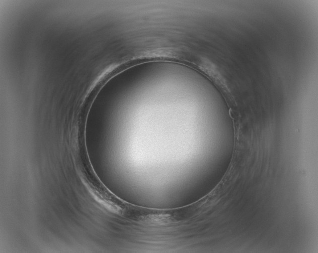 X0000081280108200701181753