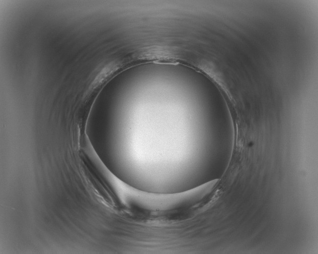 X0000081280109200701181753