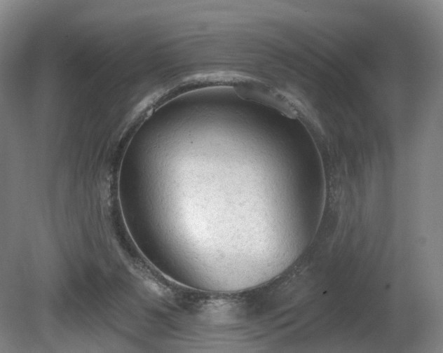 X0000081280111200701181753