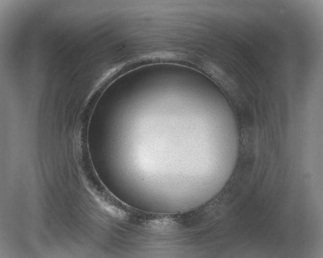 X0000081280112200701181753