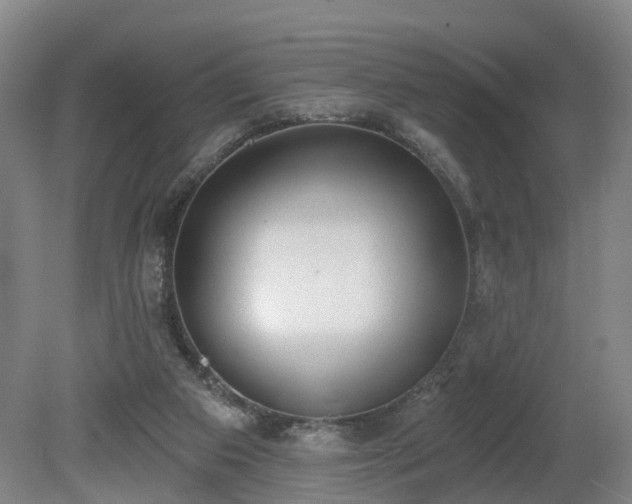 X0000081280113200701181753