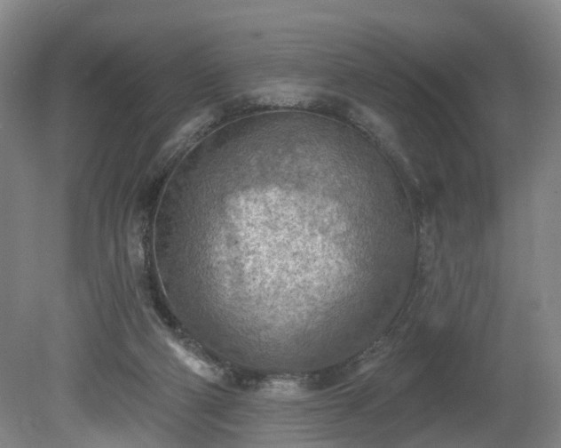 X0000081280114200701181753