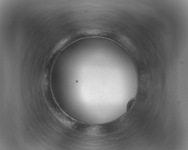 X0000081280116200701181753