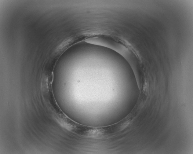 X0000081280117200701181753