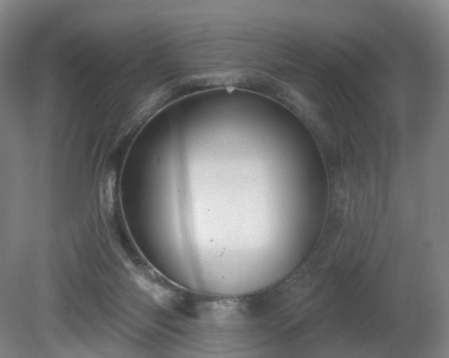 X0000081280118200701181753