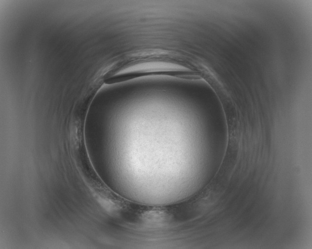 X0000081280119200701181753