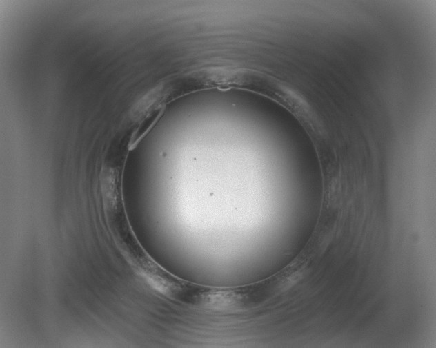 X0000081280121200701181753