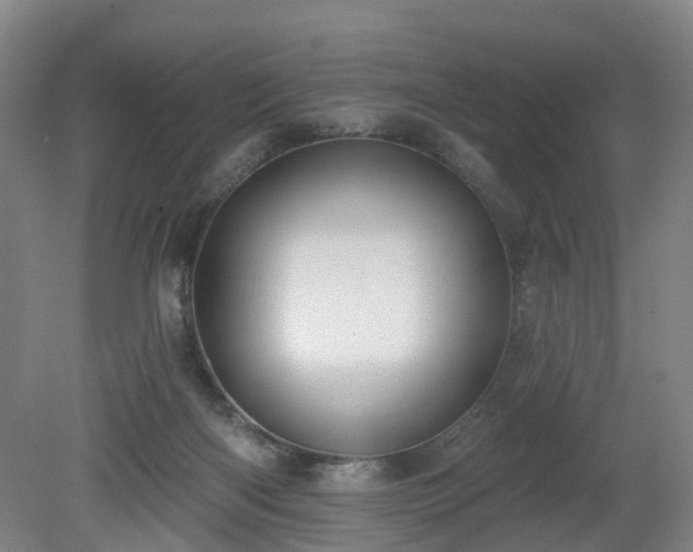 X0000081280122200701181753