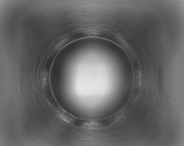 X0000081280125200701181753