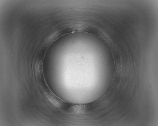 X0000081280126200701181753