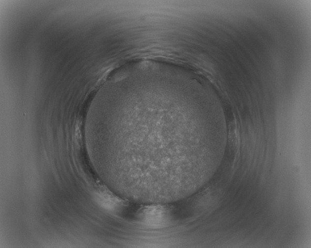 X0000081280127200701181753