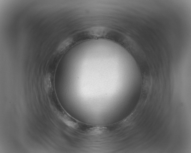 X0000081280128200701181753