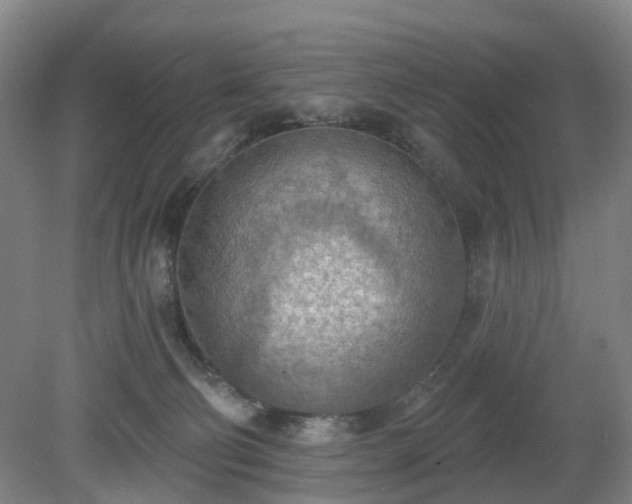 X0000081280130200701181753