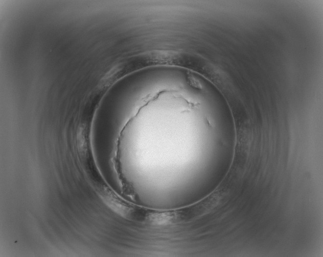 X0000081280131200701181753