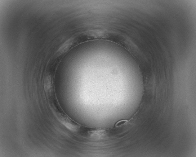 X0000081280132200701181753