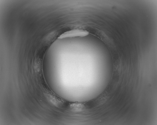 X0000081280133200701181753