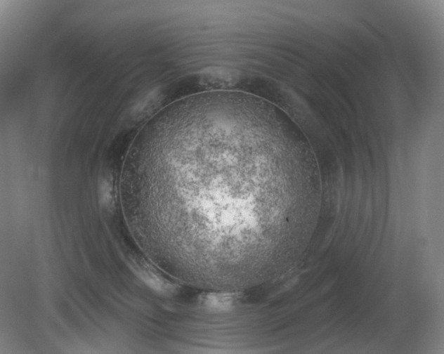 X0000081280134200701181753