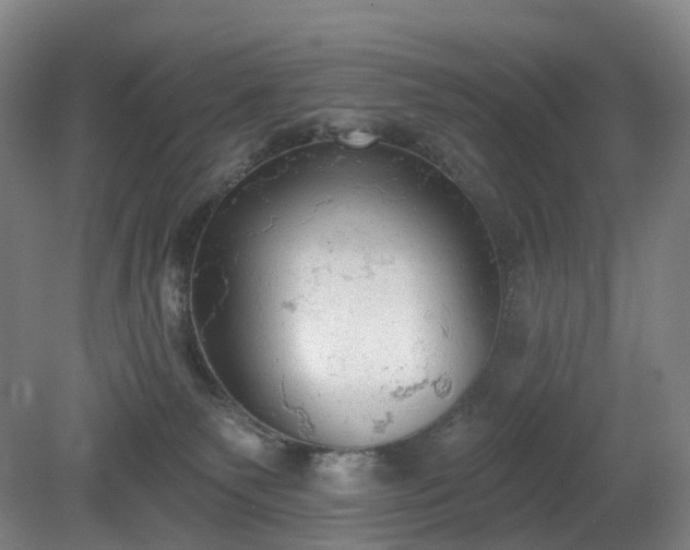 X0000081280135200701181753