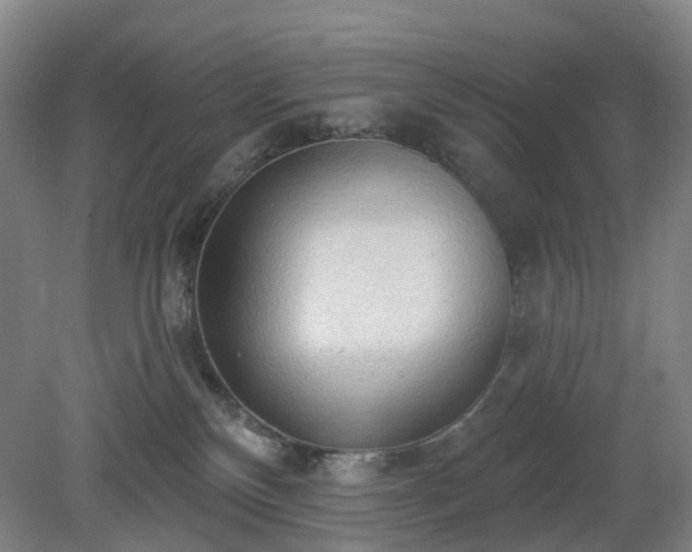 X0000081280136200701181753