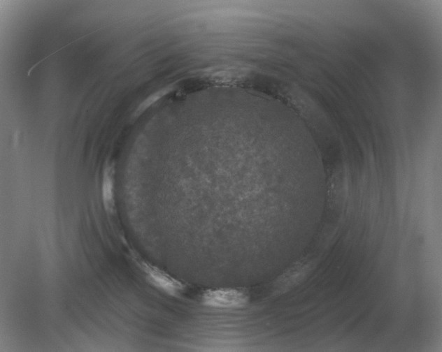 X0000081280137200701181753