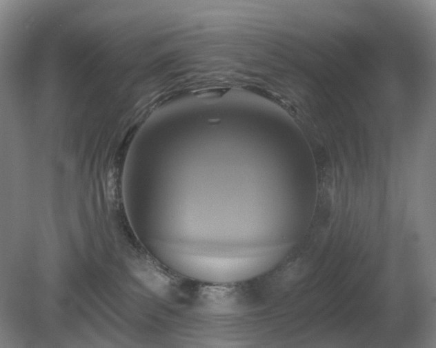 X0000081280139200701181753