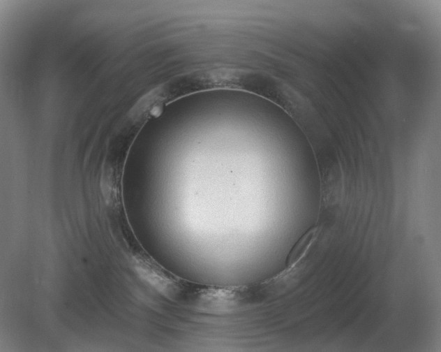 X0000081280140200701181753